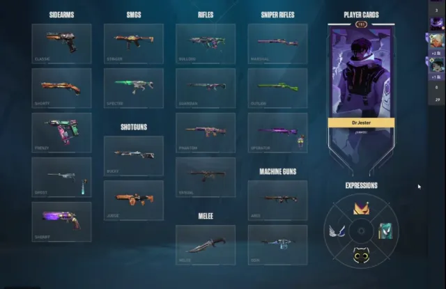 SALE OF TOP ACCOUNT Champions 2024,halloween cat bundle, rgx kerambit, rgx firefly, 151lvl, Sale, Diamond 1, Agents: 25, Skins: 67