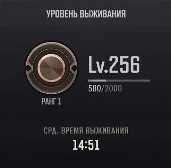 🟧⬛🟨 RANKED READY 256 LVL🔥PLUS АКТИВЕН🔥СКИНЫ🔥ПОЧТА В КОМПЛЕКТЕ🔥✅АВТОВЫДАЧА✅🟨⬛🟧, Есть BATTLEGROUNDS Plus