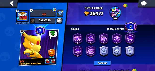 🤑COOL ACCOUNT, BASED ON THE PERFECT THING🤑, trophies 36400, brawlers 95, primes 7
