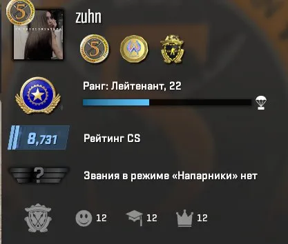 🔷【Counter-Strike 2 227 hours】🔷🎮【RANK 8731 + 3 MEDALS】🎮◀️【INVENTORY - 50 RUB】▶️ 🪐【GUARANTEE】🪐, Sale, With inventory, Has PRIME, 8731 CS Rating