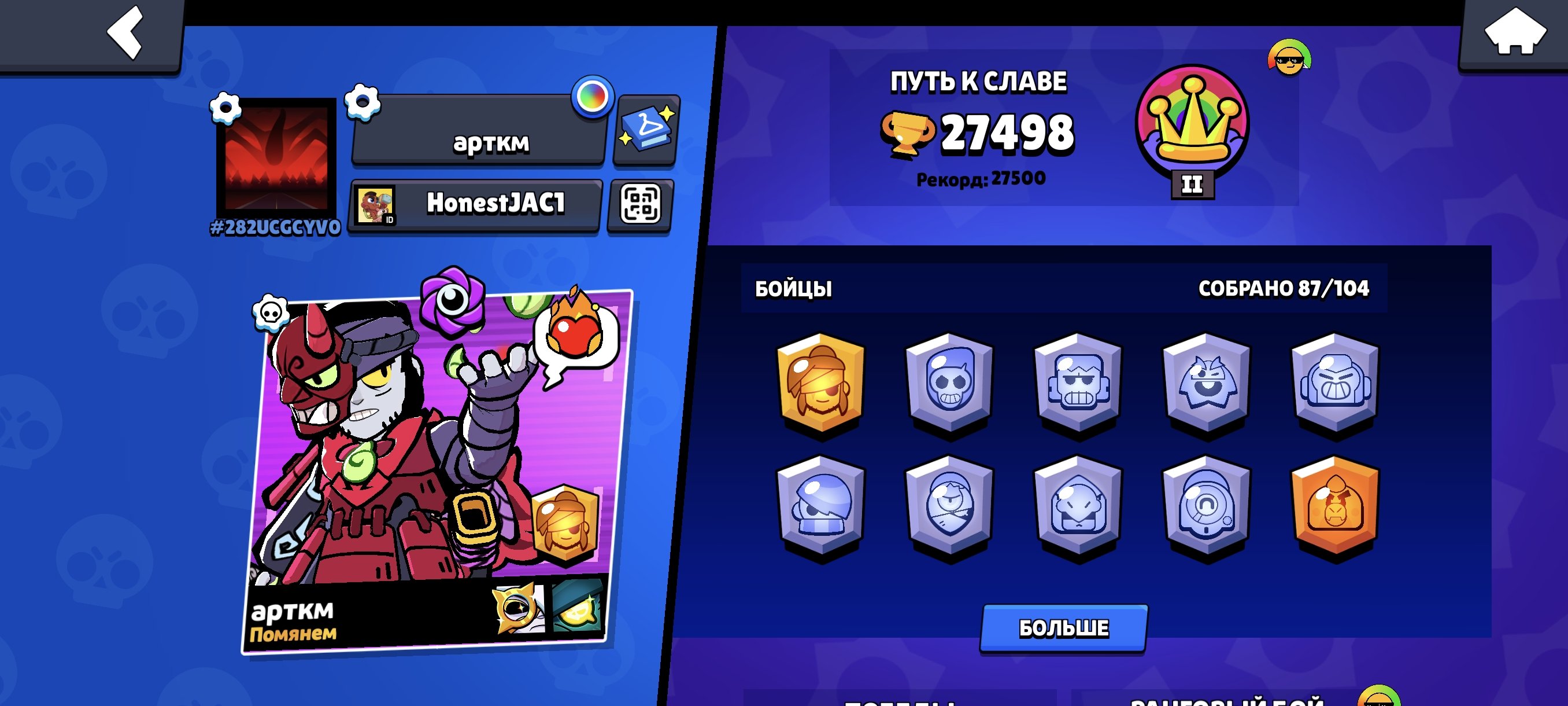 Personal account, lots of skins, etc., trophies 24500, brawlers 84