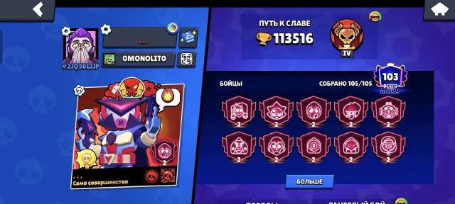 Good account of 2019, trophies 113516, brawlers 105, primes 103