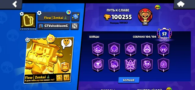 Sisiissijd, trophies 100302, brawlers 104, primes 57