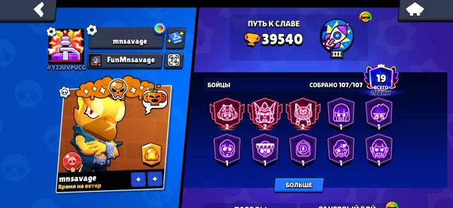 Very many cool and rare skins, 39540 trophies, 107 brawlers, 19 primes