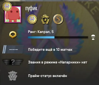 PRIME | 5 РАНГ | МЕДАЛИ | ПОЛНАЯ ПЕРЕПРИВЯЗКА | ГАРАНТИЯ 100 %, Продажа, С инвентарем, Есть PRIME, Competitive