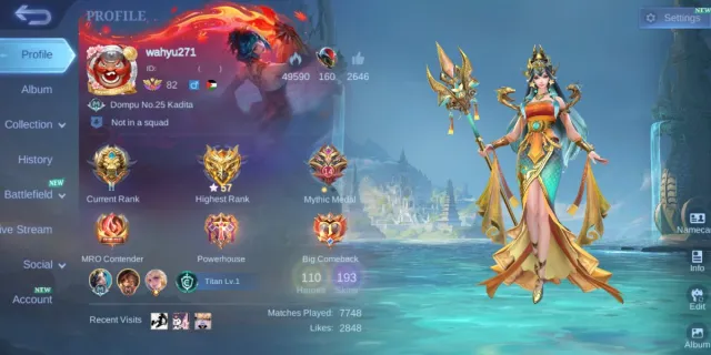 ⚜️ COLLECTOR NATALIA ✨ LUCKYBOX JOHNSON 🔰 LIGHTBORN HARITH 💠 19 EPIC SKIN 📧 TAKE EMAIL, Продажа, Ранг: Легенда, Уровень: 82, Процент побед: 50%, Герои: 110, Облики: 193