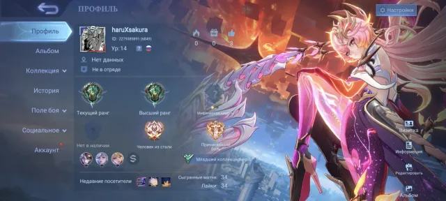 ⭐Good Start, Obsidian Aspirant, Epic Lancelot, Epic Roger, Saber Layla, Dragon Masha, with Email⭐, Sale, Rank: Epic, Level: 14, Win Rate: 97%, Heroes: 22, Skins: 27
