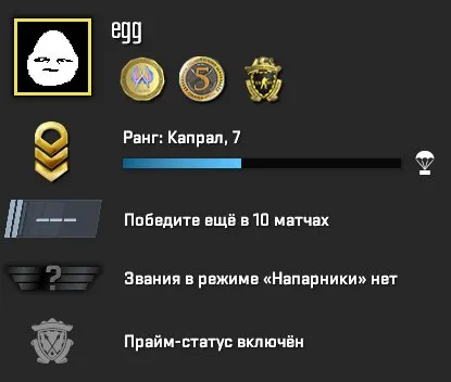 PRIME | INVENTORY 250 RUBLES | MEDALS | FULL RE-BANDING | 100% GUARANTEE, Sale, Empty, Yes PRIME, Competitive