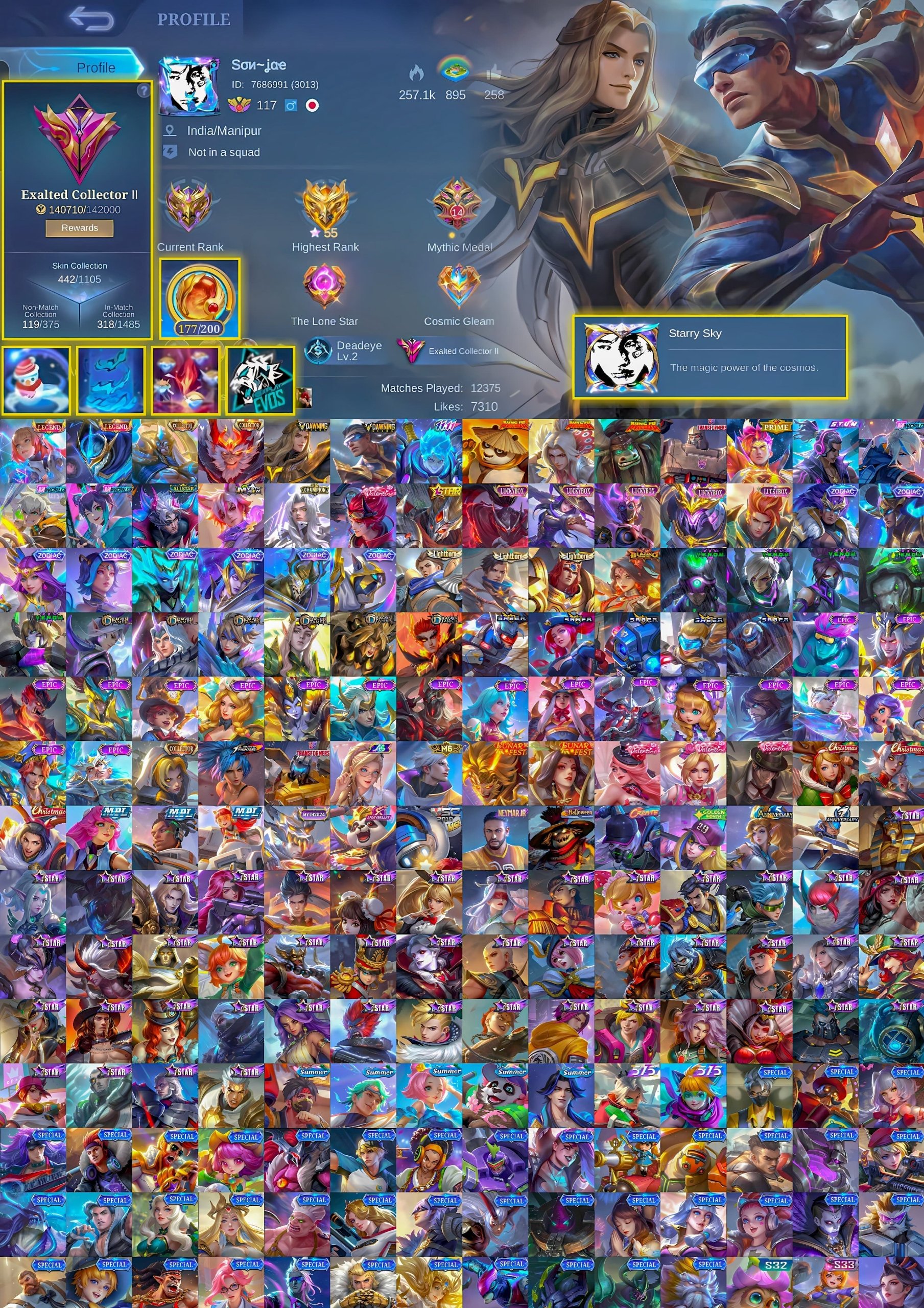 ✅🆔 Full Kung Fu 🐼 | 2 Legends | 2 Dawning | 2 Koll and others, Sale, Rank: Epic, Level: 117, Winrate: 51%, Heroes: 132, Skins: 442