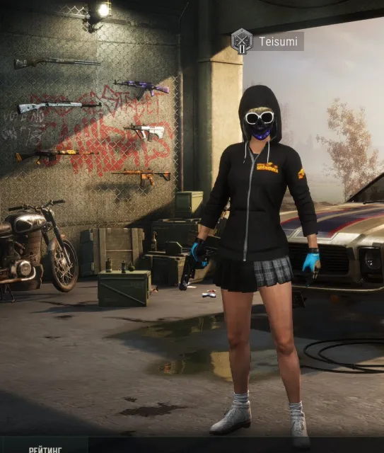 Ashek gloves, Full set Mazarin1k, Xinhung AKM, Chengzi m416, Yes BATTLEGROUNDS Plus