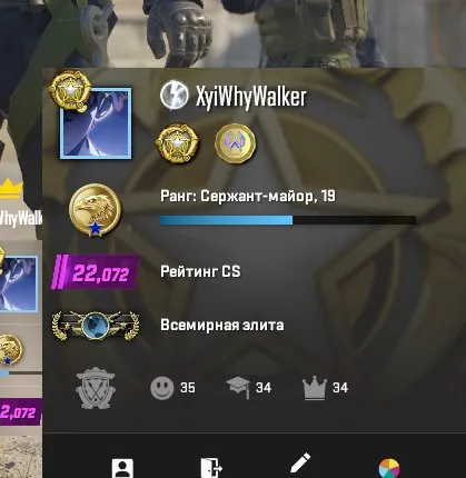 ⚡ PRIME CS2⚡INVENTORY 250R 🔮 22072 RANKING🔮 💰GLOBAL IN NAP💰 💙2 MEDALS💙 RELINK💙, Sale, With inventory, Has PRIME, 22072 CS Rating, Competitive