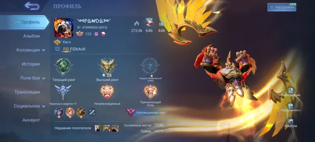 Unique personal account 472898555 (6013) with skin choice options, Sale, Rank: Epic, Level: 123, Winrate: 53%, Heroes: 133, Skins: 507