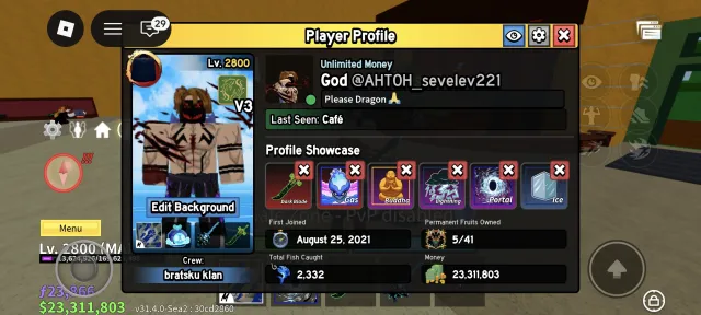 Old Account 2019 Many Donations but Mostly in Blox Fruits, Sale, Voice chat: Yes