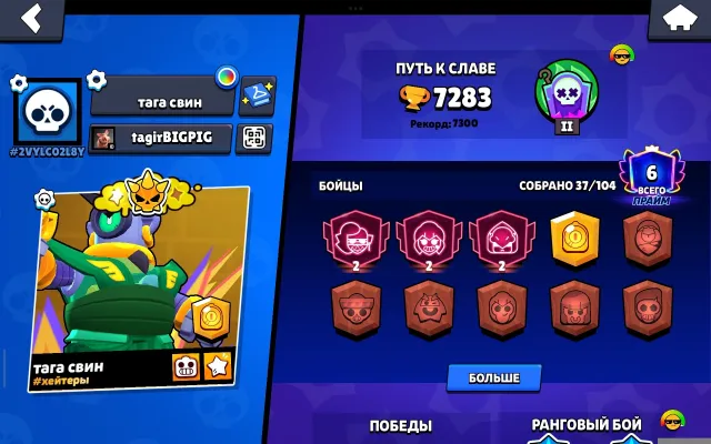 Skdkosowwoosodldpdososospspapwpwppwpspso, trophies 7283, brawlers 37, primes 3
