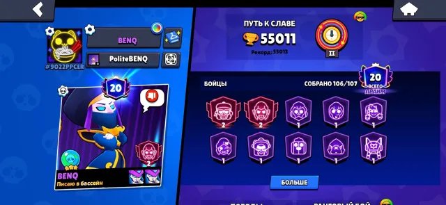 Personal account, since 2019, a lot of exclusives and skins, 55000 trophies, 106 brawlers, 20 primes
