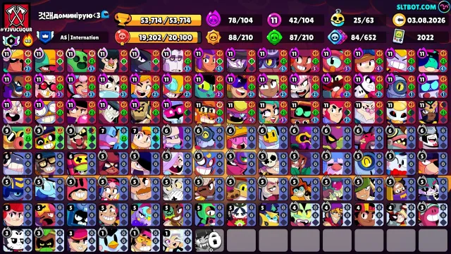 Top-tier account suitable as a main + Clash Royale: 2 Legendaries, 11 Power Level, 78 Hyper, trophies 53714, brawlers 104, primes 32