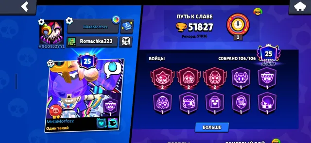 Average account with all brawlers and cool skins, 51800 trophies, 106 brawlers, 25 primes