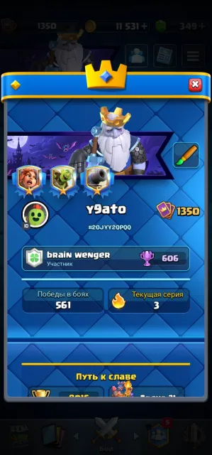 🔥 the best account for its price🔥7 evo, 500 gems, cool pins, overlevel, 21 arena, 68 level, 8000 trophies, 123 cards, Available