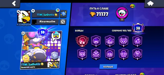 High-End Personal Account | 71,177, trophies 71177, brawlers 103, primes 38