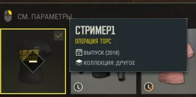 AYG NEON(9LVL) черные бинты, Есть BATTLEGROUNDS Plus
