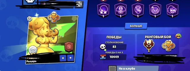 about, details in private messages, currently master, 28966 trophies, 24 brawlers