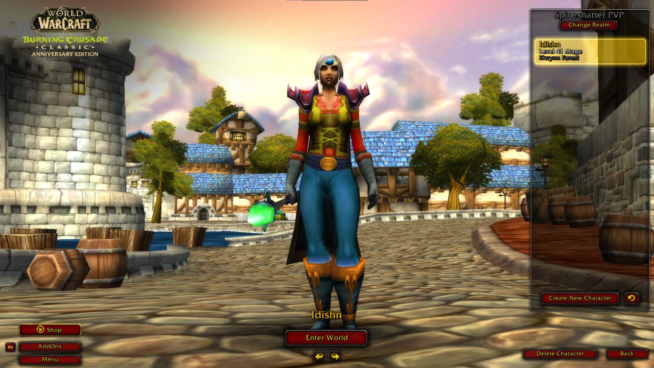 80 mage, there is a midnight, there is a 41 lvl mage in the BC Anniversary, active subscription, 80 level, Human, Mage