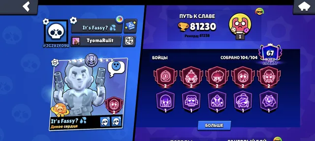 All fighters,400+gems,67primes, trophies 81230, brawlers 104, primes 67