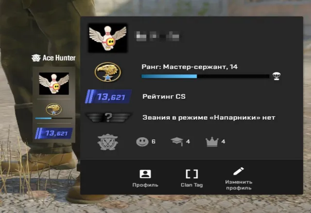 QUALITY ❗️ with NATIVE email ❗️ 13k premier ❗️ Beautiful profile, Sale, Inventory empty, Has PRIME, 13 CS Rating