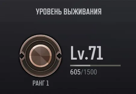 🔥 ур.71 🔥[PROGRESSIVE 3x] ● KAR98K 2 LvL 👾M249👾 ACE32🔥СМЕНА НИКА + Лобби✅АВТОВЫДАЧА✅🔥, Есть BATTLEGROUNDS Plus