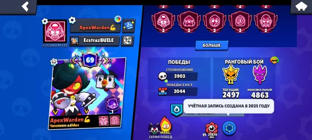 All information in the screenshot, 81339 trophies, 103 brawlers, 69 primes