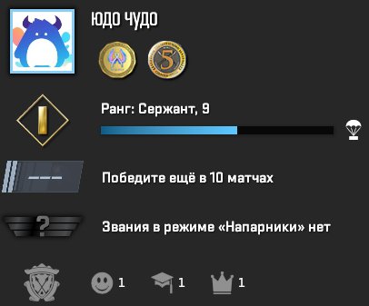 PRIME | INVENTORY 250 RUBLES | MEDALS | FULL RE-BANDING | 100% GUARANTEE, Sale, Empty, Yes PRIME, Competitive