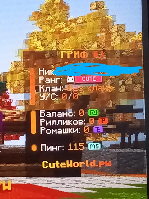 Minecraft Server Account, Sale, All Account Data