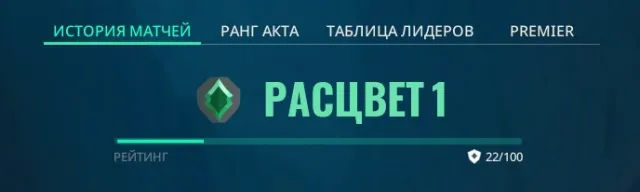 asc 1 (Личный аккаунт), ПЕРЕПРИВЯЗКА, immo 1 в пике EU, Продажа, Расцвет 1, Агентов: 11, Скинов: 22