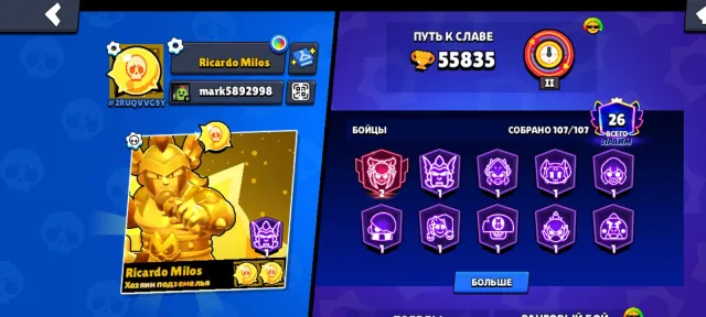 Old account for playing Brawl Stars, 55835 trophies, 107 brawlers, 26 primes