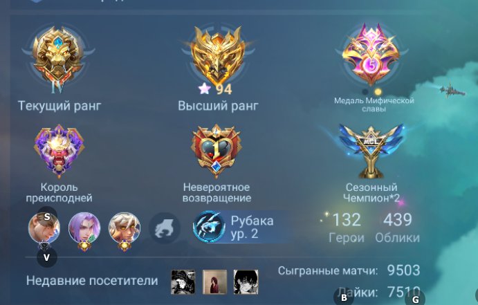 ⭐️Lega Franco⭐️11.11 Goose⭐️Collector Ling⭐️Naruto Lucas⭐️Alucard StarWars⭐️Eternal Warranty⭐️, Sale, Rank: Epic, Level: 100, Winrate: 53%, Heroes: 132, Skins: 439