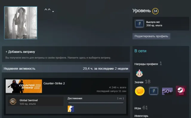 🔥 11 MEDALS ⭐ 2 GOLD + BLUE 🏅 | 4 300+ HOURS IN CS2 🎮 | STEAM LVL 34 💎 | 61 PAID GAMES 🚀, Sale, Inventory empty, PRIME available, 14000 CS Rating, Competitive