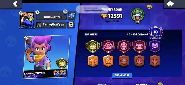 All in DM, 13000 trophies, 40 brawlers, 10 primes