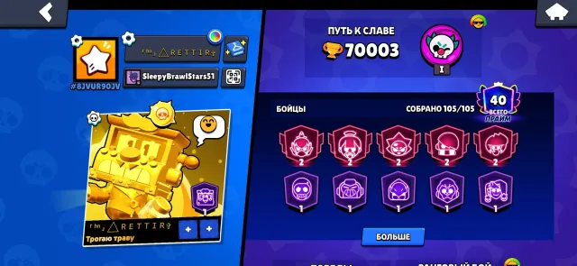 💙2021 Account💙|💜🏆70,000🏆💜|💙40 Primes💙|Second Interested? Click here—you won't regret it., trophies 70000, brawlers 104, primes 40