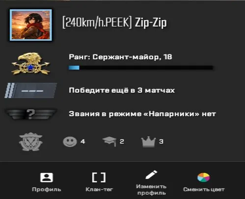 🧊Steam Account🧊3lvl Steam - 33+ hours in CS2 🧊everything in the inventory as a gift🧊, Sale, With inventory, Has PRIME, 1 CS Rating, Competitive