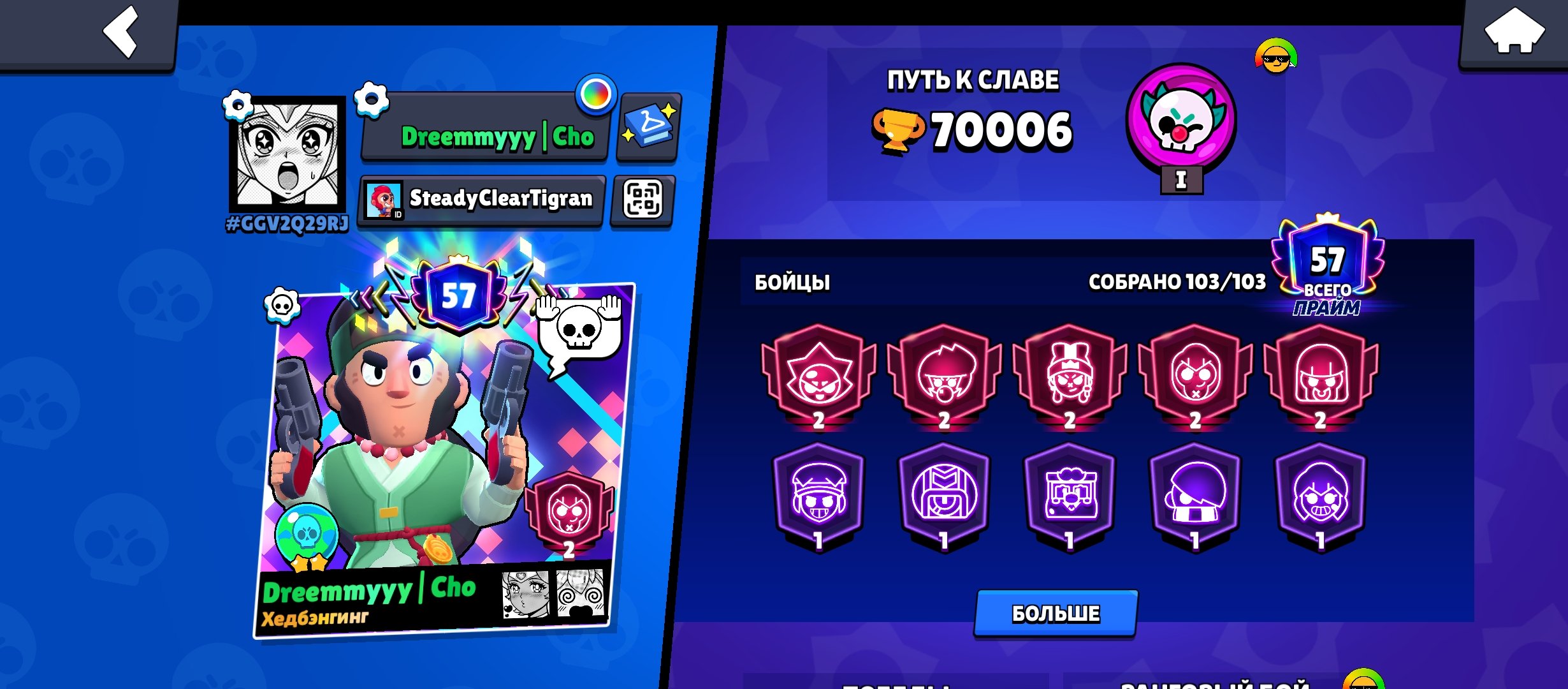 A good account in BS, 70k trophies, all fighters, some old skins, trophies 70000, brawlers 103, primes 57