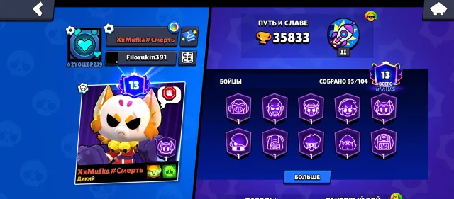 bs account, change of Nickname for gems, trophies 35833, brawlers 95, primes 13