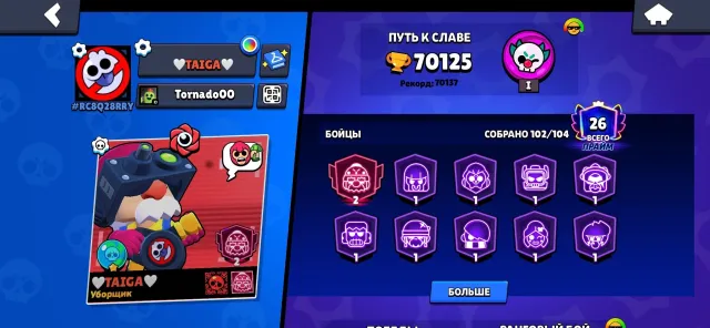 ⚡️AUTO-DISTRIBUTION⚡️ top‑notch leveling, lots of cool skins and in‑game resources, trophies 70125, brawlers 102, primes 26