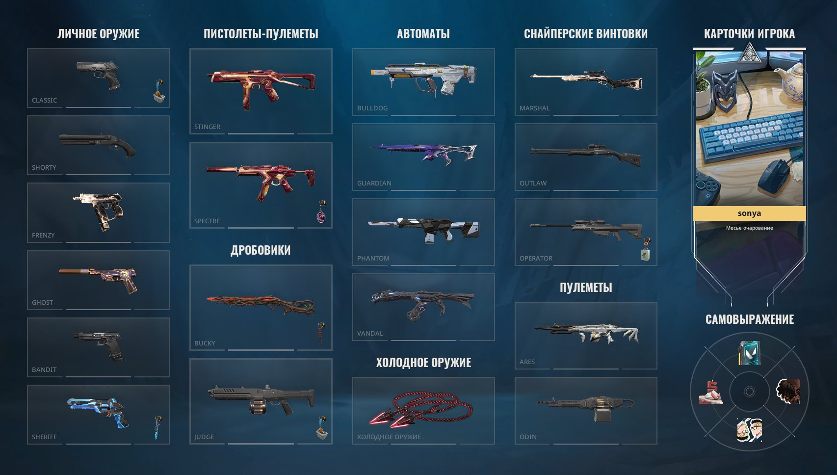 🔥 EU + TR | FULL ACCESS | ARAXIS KNIFE, VANDAL ANCIENT FLAME AND MORE 🔥, Sale, Platinum 1, Agents: 29, Skins: 16