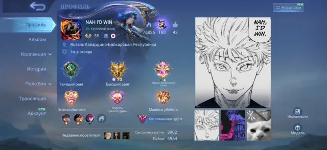 Personal Account, Sale, Rank: Mythical, Level: 55, Win Rate: 51%, Heroes: 100, Skins: 317