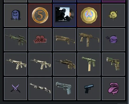 2021 Blue Medal + 2020 medal + Riptide coin + Prime + 2k hours, Sale, Inventory empty, Has PRIME