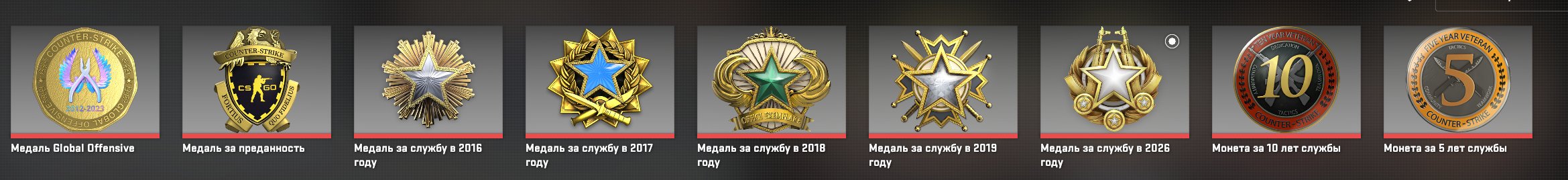 9 MEDALS GO 5 years 10 years For service in 2026 19 18 17 16 2500h 10 LVL Steam, Sale, Empty, Yes PRIME