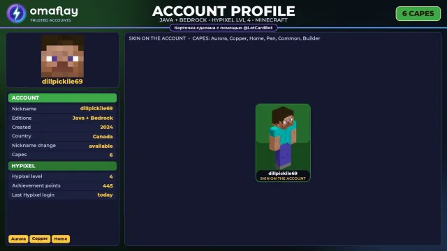 ⚡ MINECRAFT ⚡ JAVA + BEDROCK • 6 CAPES: Aurora • FULL ACCESS • NO BAN HYPIXEL (4 LVL) #4FOR2R, Sale, All account data