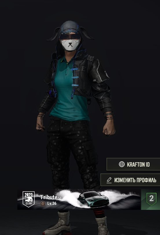 💎🖤 ACCOUNT 🖤💎 3 PROGRESSIVE GAN 💎🖤 Full rebinding 🖤💎, No BATTLEGROUNDS Plus