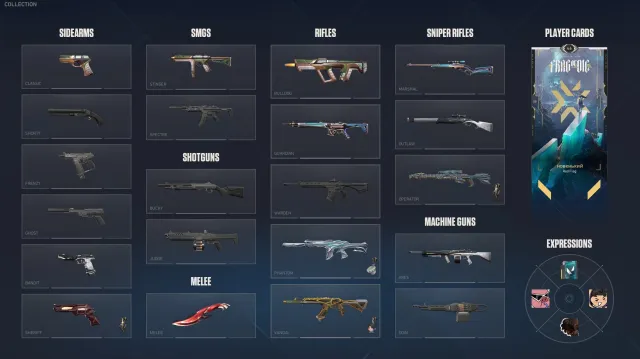 personal account with skins for 17k VP, full rebind, Sale, Bloom 2, Agents: 16, Skins: 18