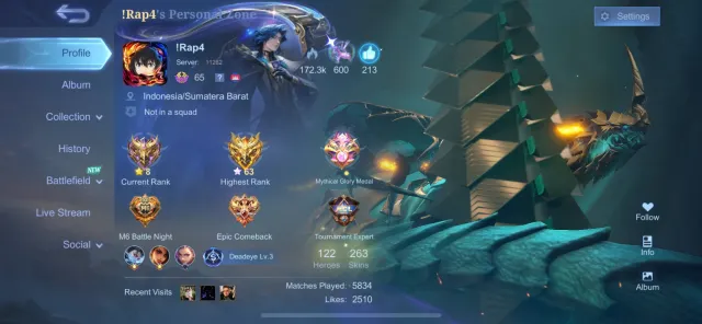 LUCKYBOX HAYABUSA SELENA LUNOX IRITHEL KOF VALIR, Sale, Rank: Mythic, Level: 95, Winrate: 51%, Heroes: 133, Skins: 263